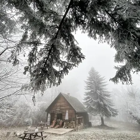 Cosy Wooden Cabin And Bell Tent In Leafy Budapest * Budapest